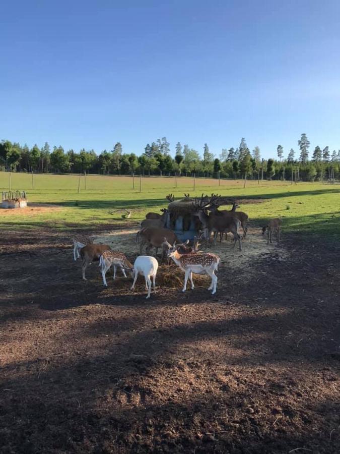 Sjoetorps Saeteris Stugby Villa Larv Eksteriør billede