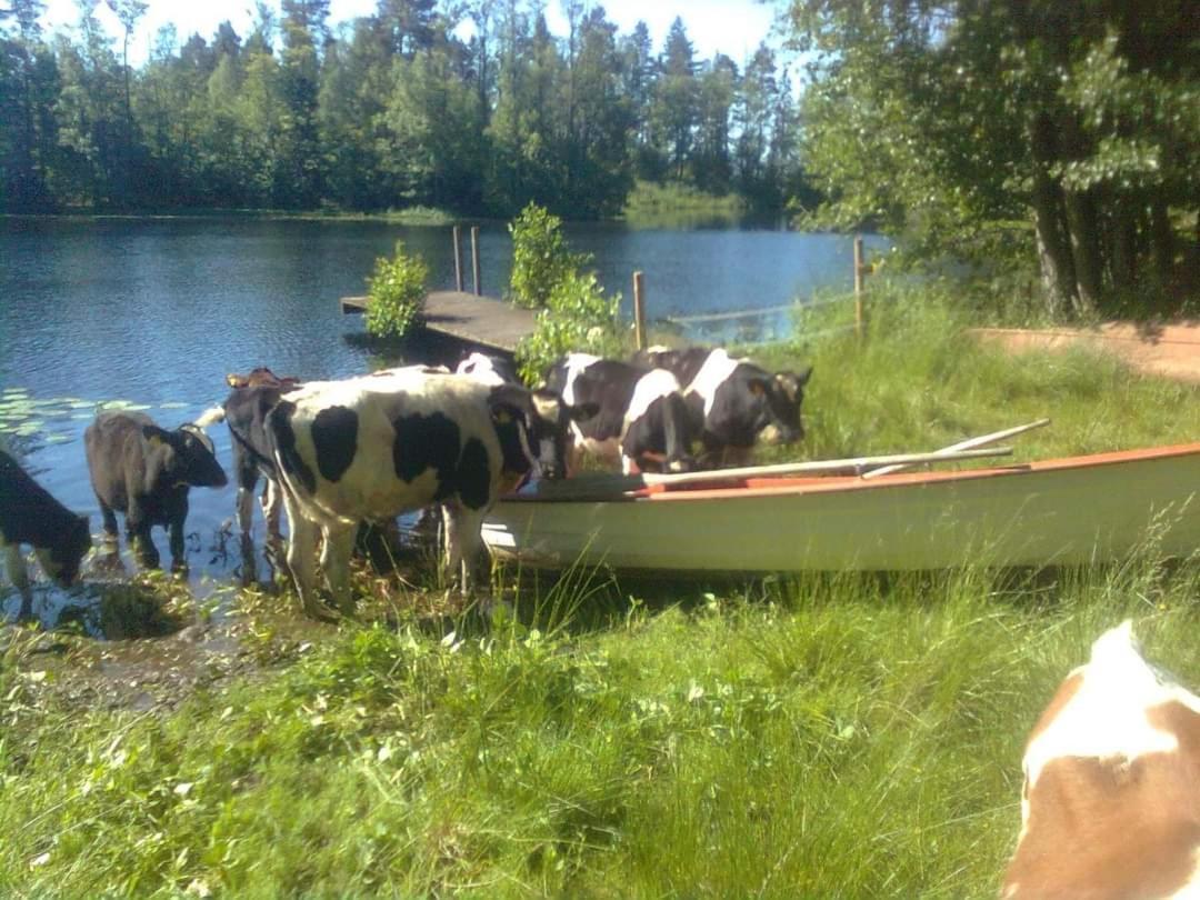 Sjoetorps Saeteris Stugby Villa Larv Eksteriør billede
